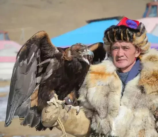Eagle hunter holding a golden eagle during the Golden Bond hunting experience in Mongolia