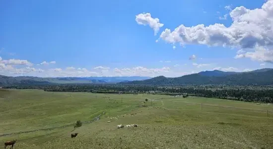 Khogno Khan National Park