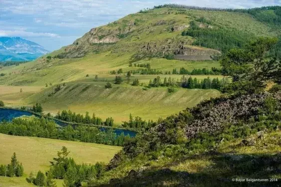 Rolling green hills and forested valleys in Mongolia’s Arkhangai region, showing open pastureland, scattered trees, and a river cutting through the mountainous landscape.