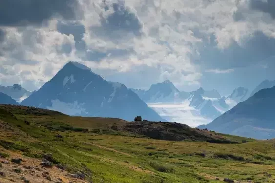 Alpine mountain scenery in Mongolia featuring open grasslands, rocky slopes, and distant peaks, typical of the Khentii and northern regions.