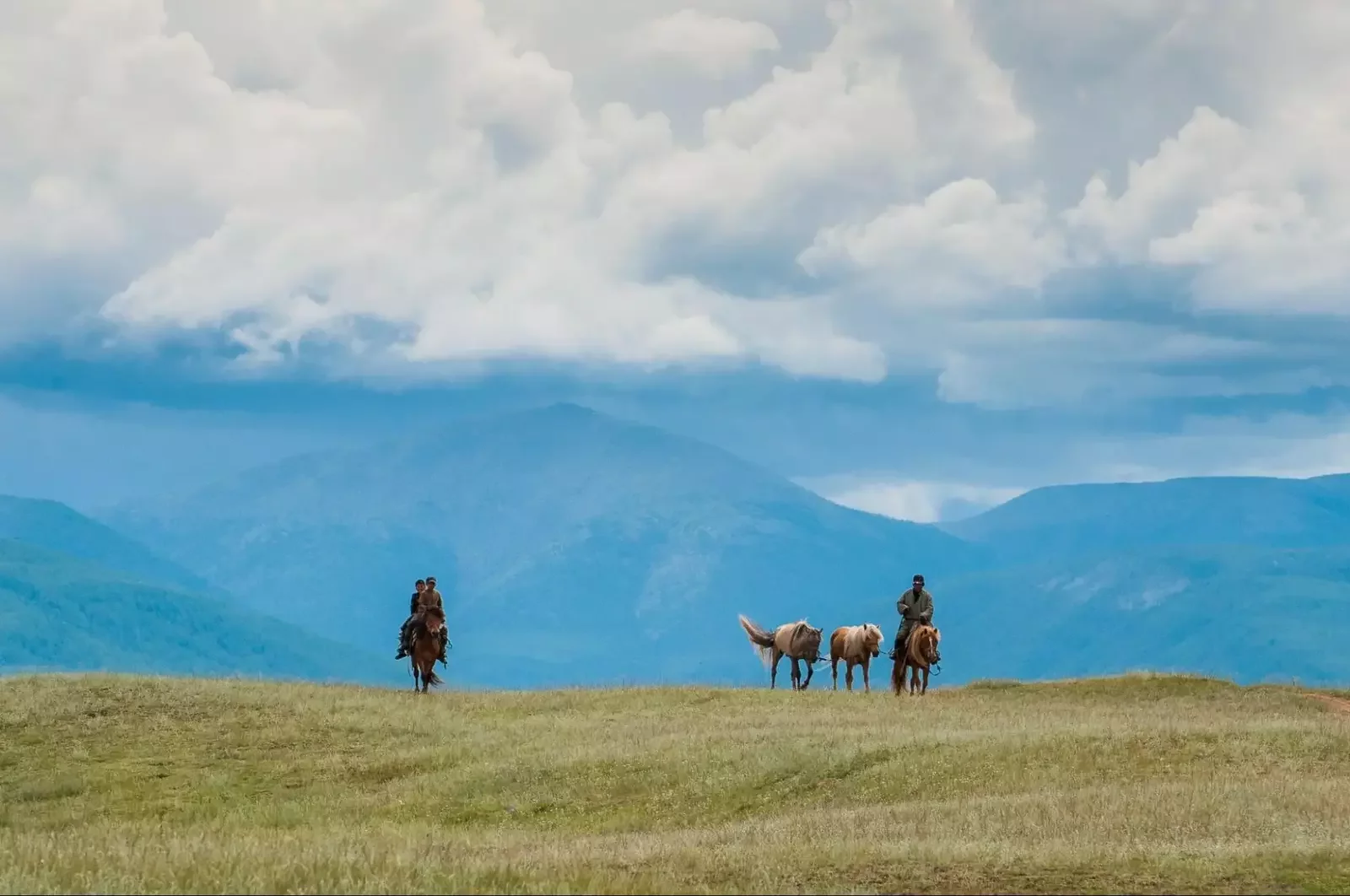 Horseback riders guiding livestock across Mongolia’s open steppe under a cloudy sky