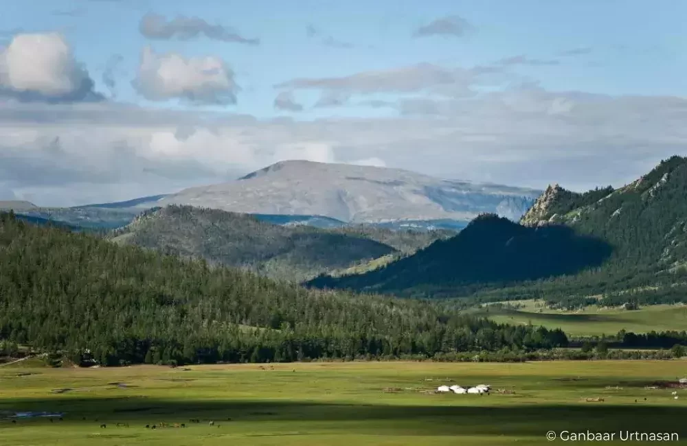 Expedition to the Tsaatan