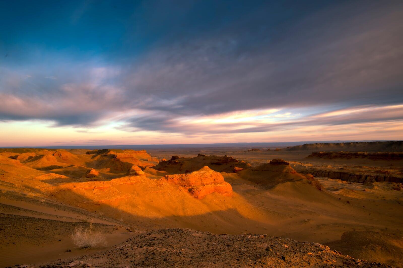 Tugrugiin Shiree rare fossil discoveries  in Mangolia