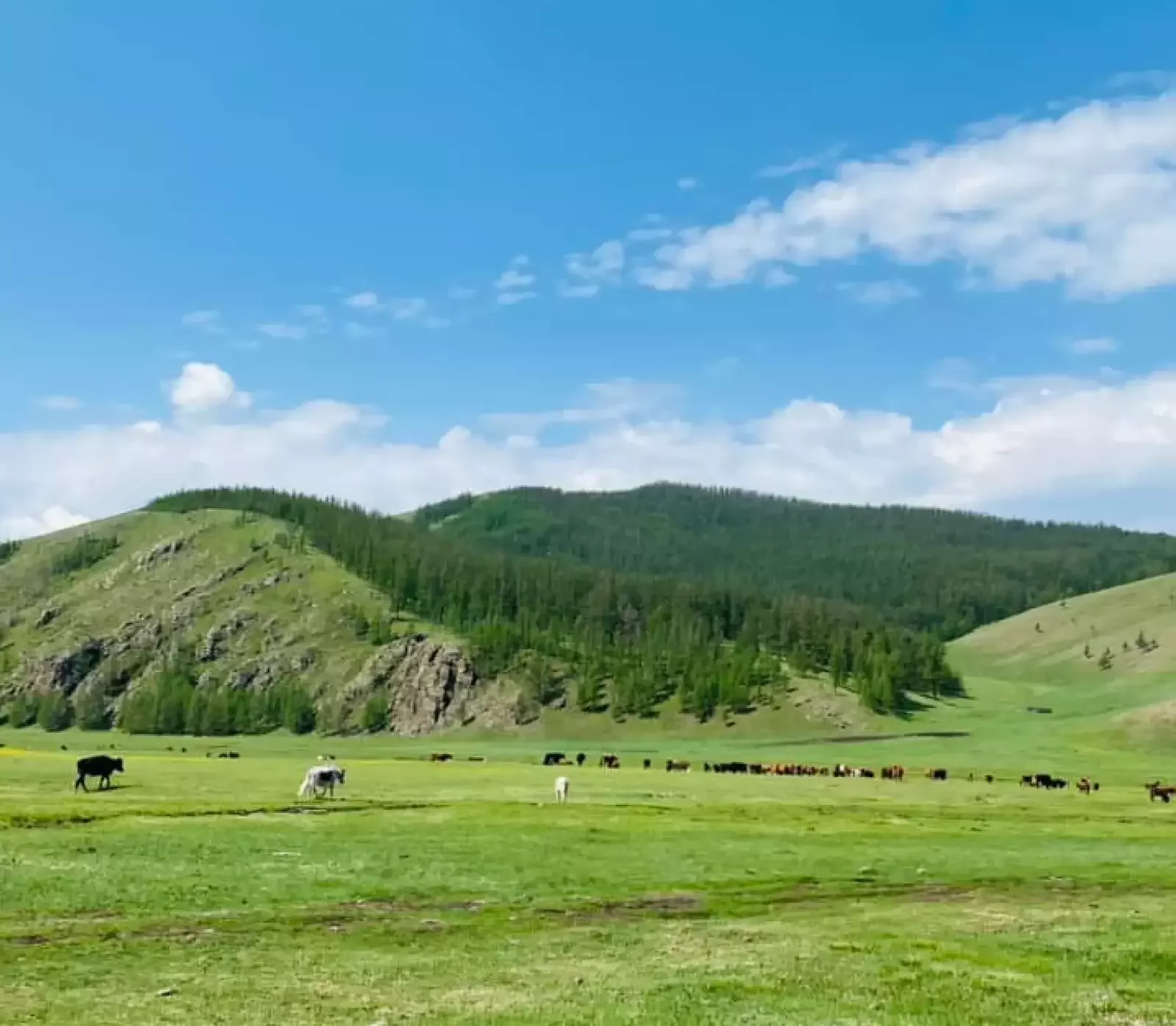 Eagle hunters riding horses across a snowy landscape in Mongolia.