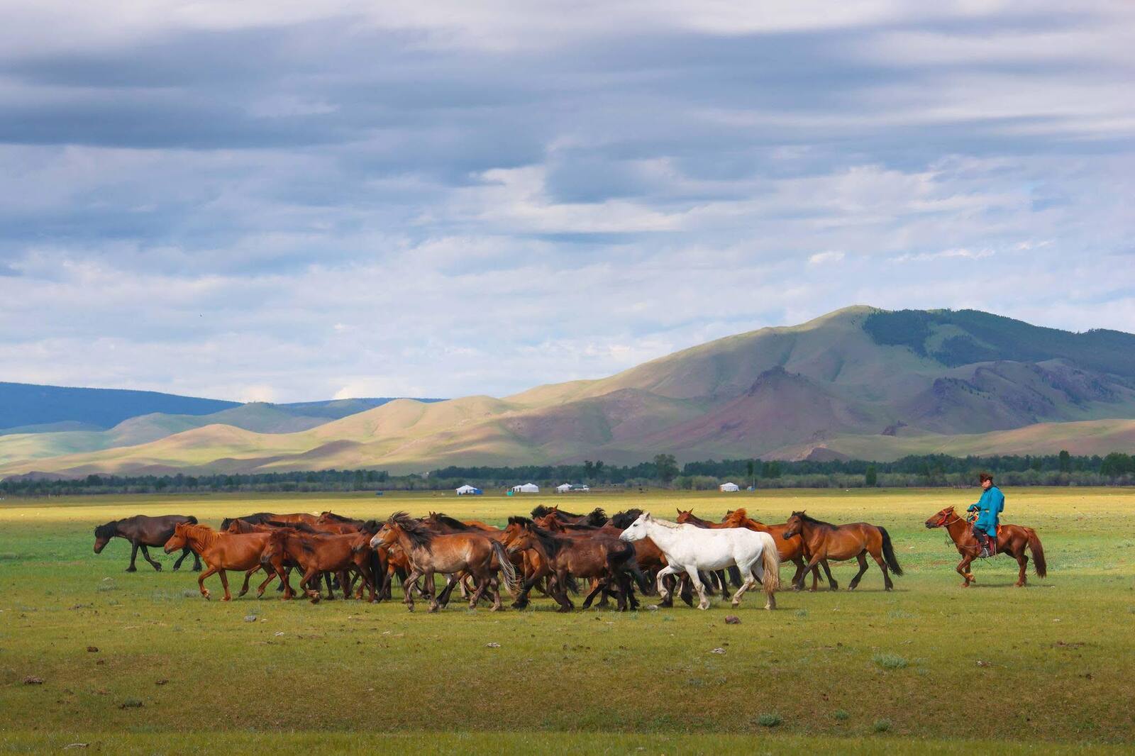Horseback riding in Mangolia