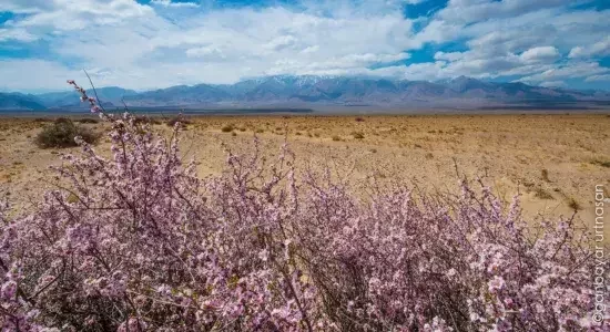 landscapes of the Darhad Valley