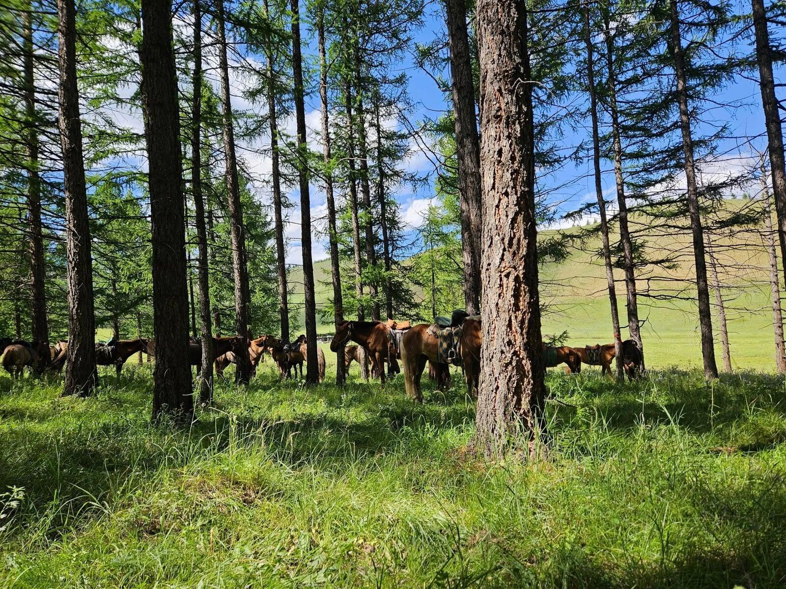 Night sky with Milky Way above a lake