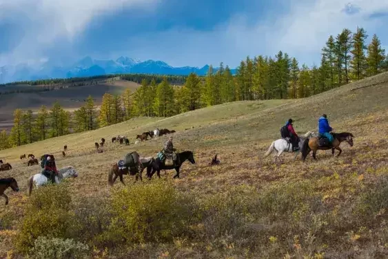 Travelers horseback riding across Mongolia’s countryside with forested hills, grazing horses, and mountain views.