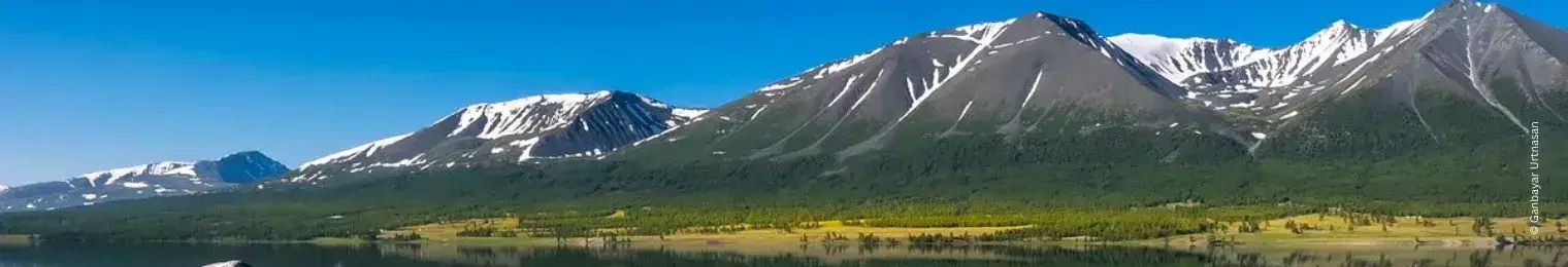 wide landscape of mnagolia