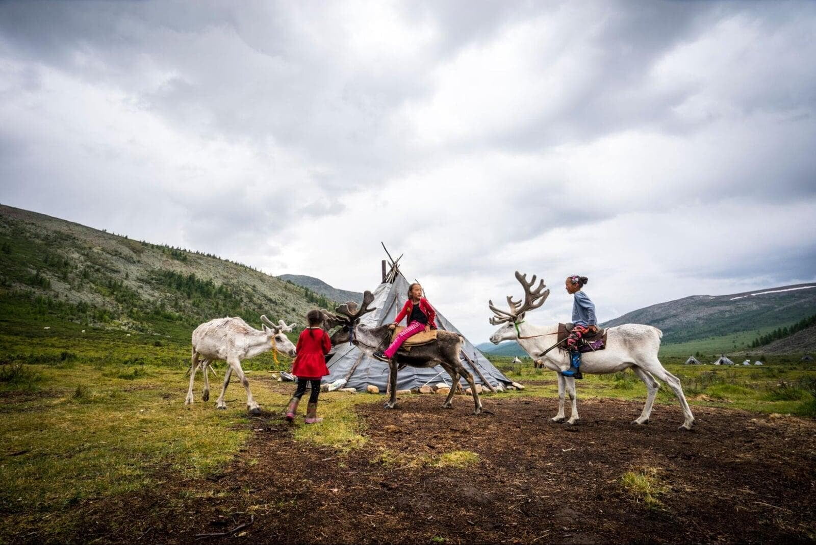 Mongolia travel reindeer herders with children riding reindeer in mountain landscape