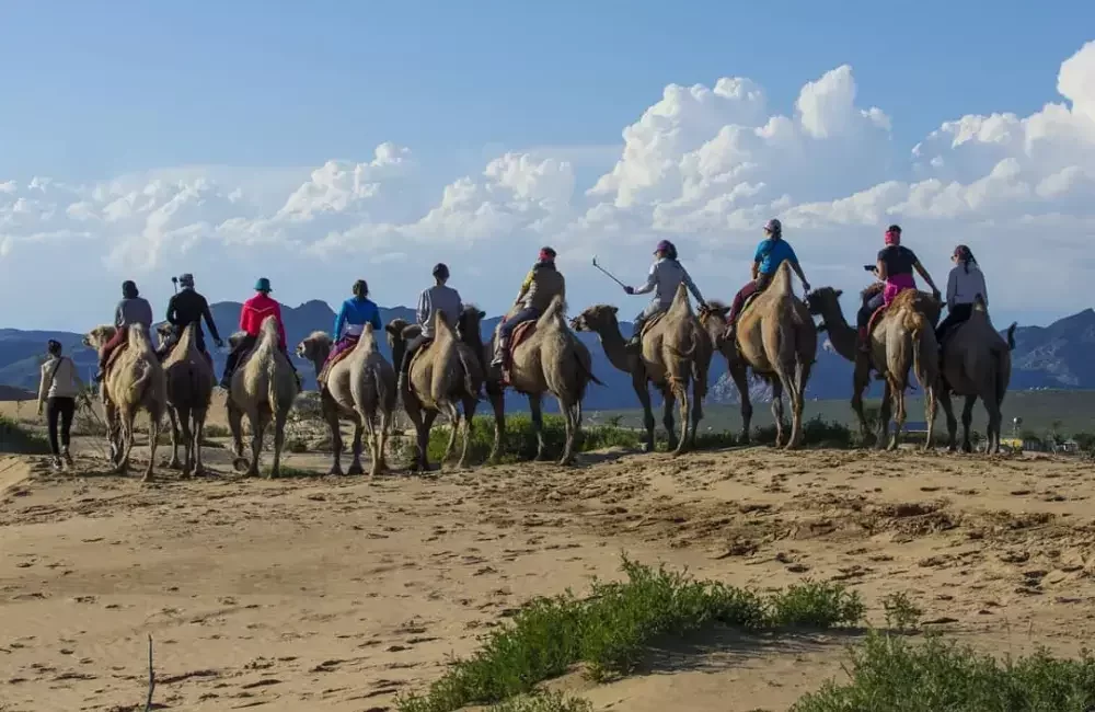 Camel safari experience in the Gobi Desert with travelers riding camels across open desert terrain