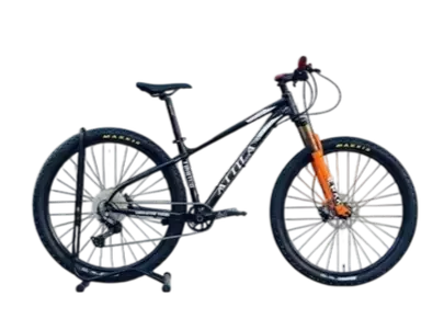 Expedition e-bike with air suspension, Shimano drivetrain, hydraulic disc brakes, and 29-inch wheels, built for off-road and long-distance adventure riding.