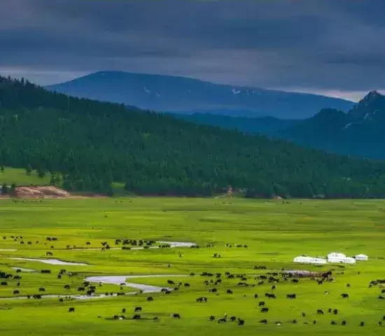 Ride Through Naadam - Horseback in Arkhangai