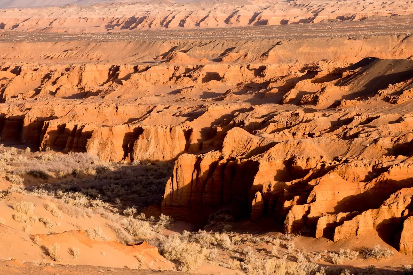 Dinosaur Fossils in mangolia 