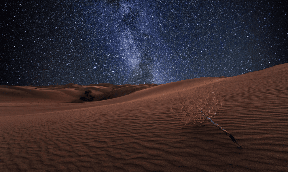 Things to Do in the Mongolian Gobi Desert: Dunes, Fossils, Camels & Night Trips
