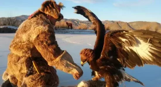 Final morning in Mongolia with a transfer to Chinggis Khaan International Airport