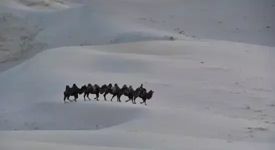 Final morning in Mongolia with a transfer to Chinggis Khaan International Airport