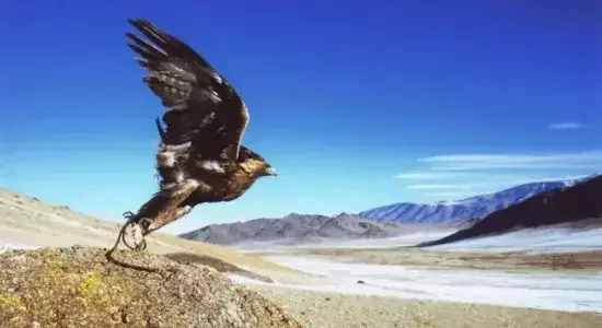 Final morning in Mongolia with a transfer to Chinggis Khaan International Airport