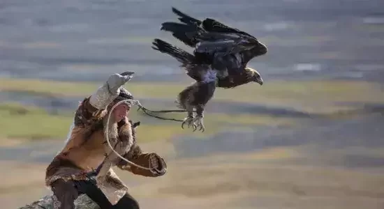 Final morning in Mongolia with a transfer to Chinggis Khaan International Airport