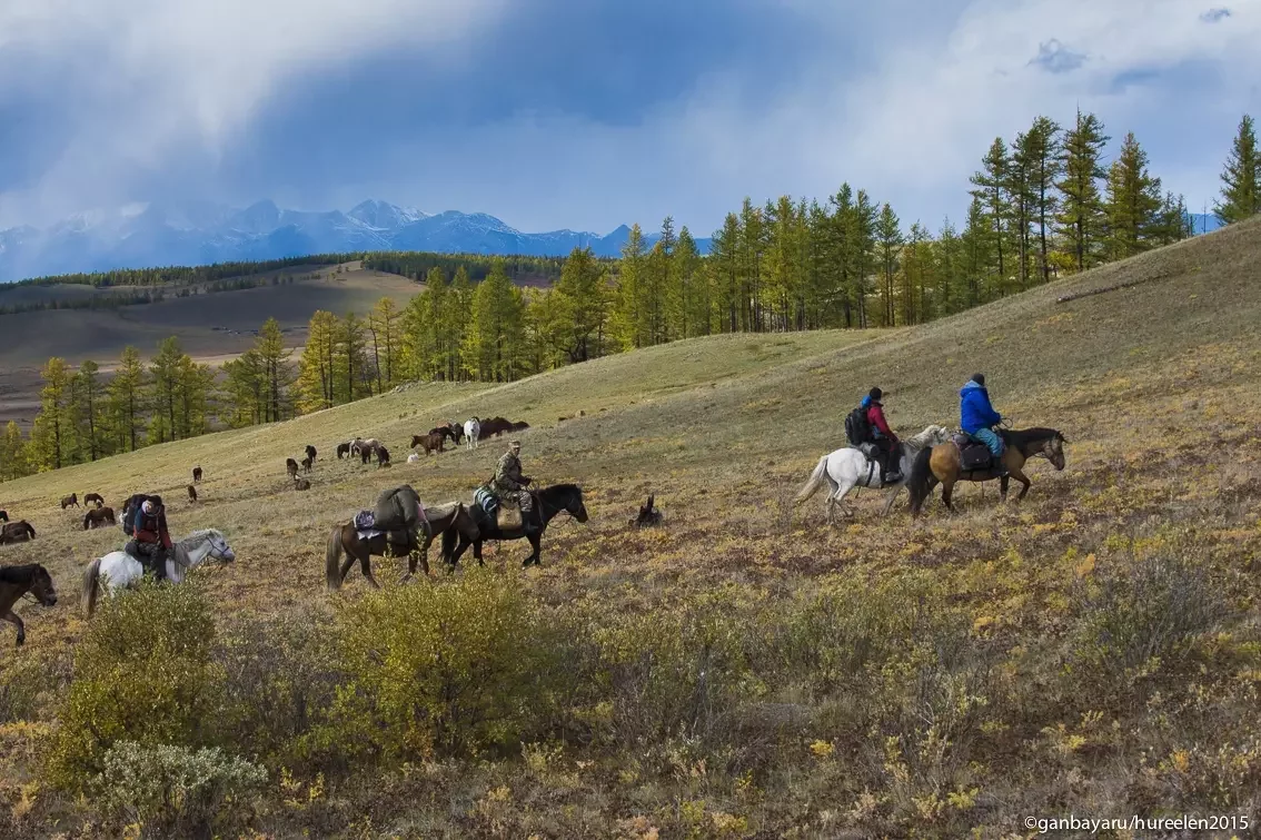 Travelers horseback riding across Mongolia’s countryside with forested hills, grazing horses, and mountain views.