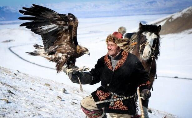 Kazakh eagle hunter in Mongolia holding a trained Golden Eagle on his arm beside a horse in the snowy Altai Mountains landscape.