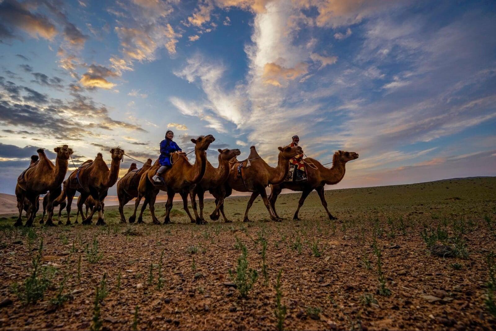 Bactrian camel ride in Mongolian Gobi Desert travel experience