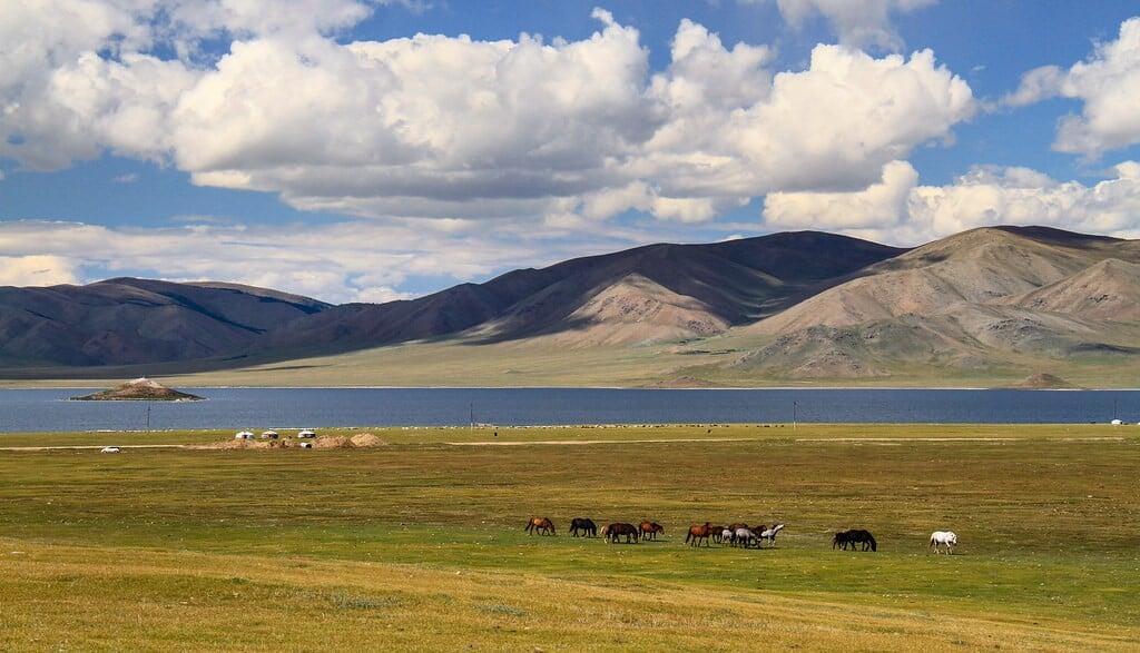 Horses grazing on a wide grassy plain beside a large lake, with rolling mountains in the background under a partly cloudy blue sky.