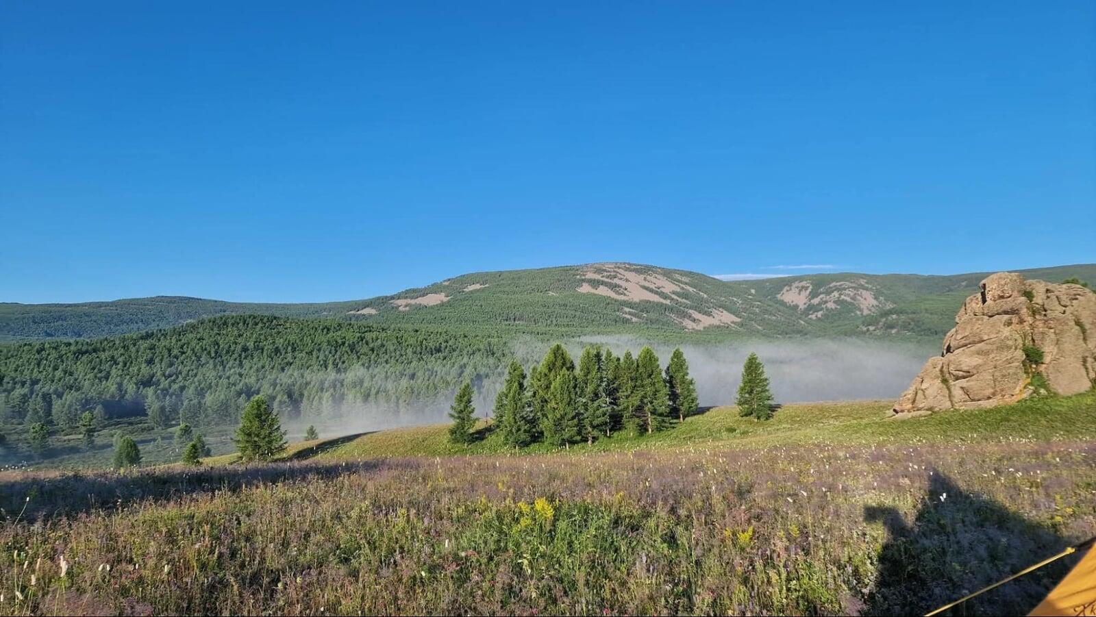 Countryside Mongolia landscape with Khentii Mountains, green forest, wildflower meadow, and morning mist under a clear blue sky