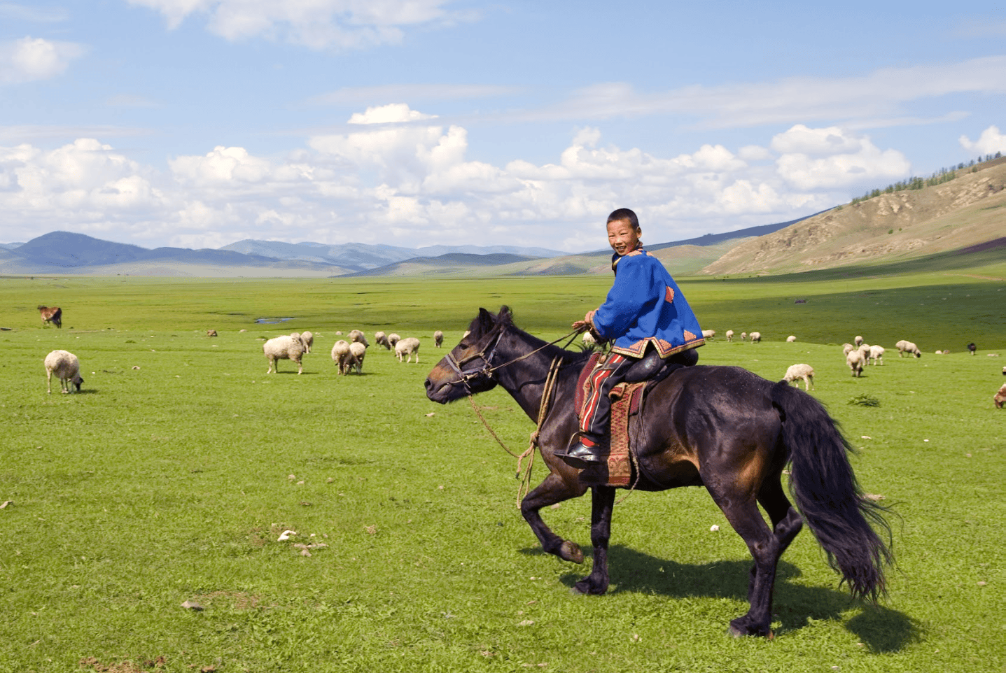 Central Mongolia horse riding adventure with nomadic grasslands, grazing sheep, and scenic mountain landscape in Mongolia.