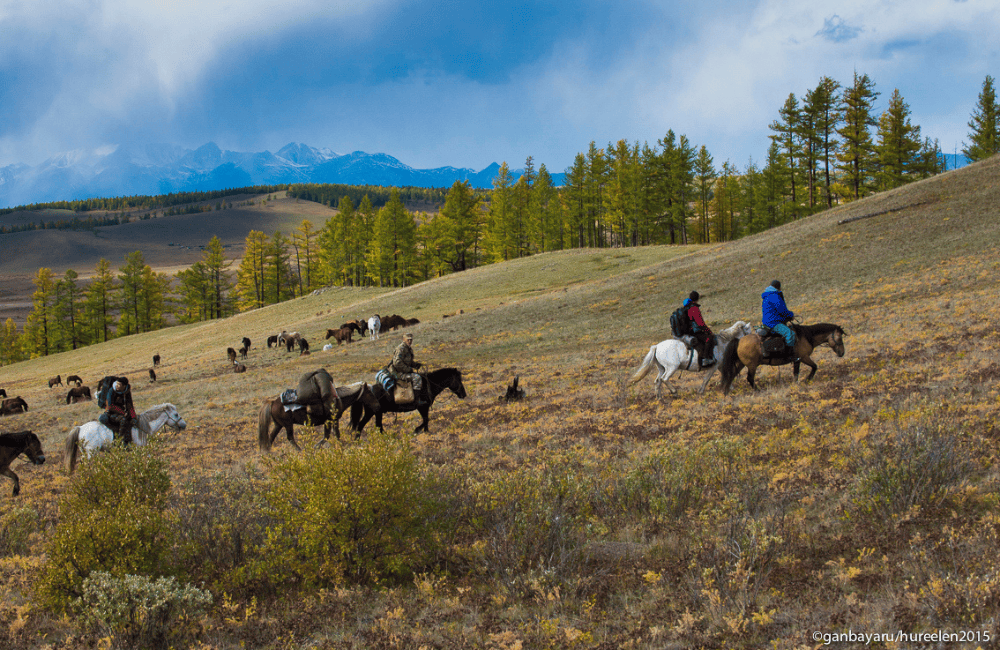 Horse riders crossing a grassy hillside in Mongolia with mountains in the background