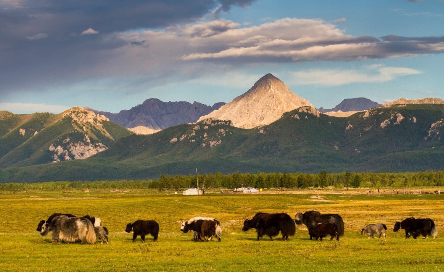 Inefficiency of the wild is the sustainable adventure itself in Mongolia