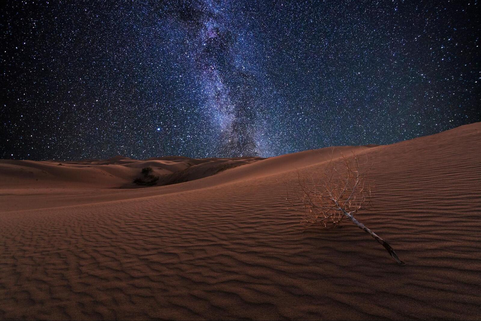 Gobi Desert night sky with Milky Way over sand dunes Mongolia