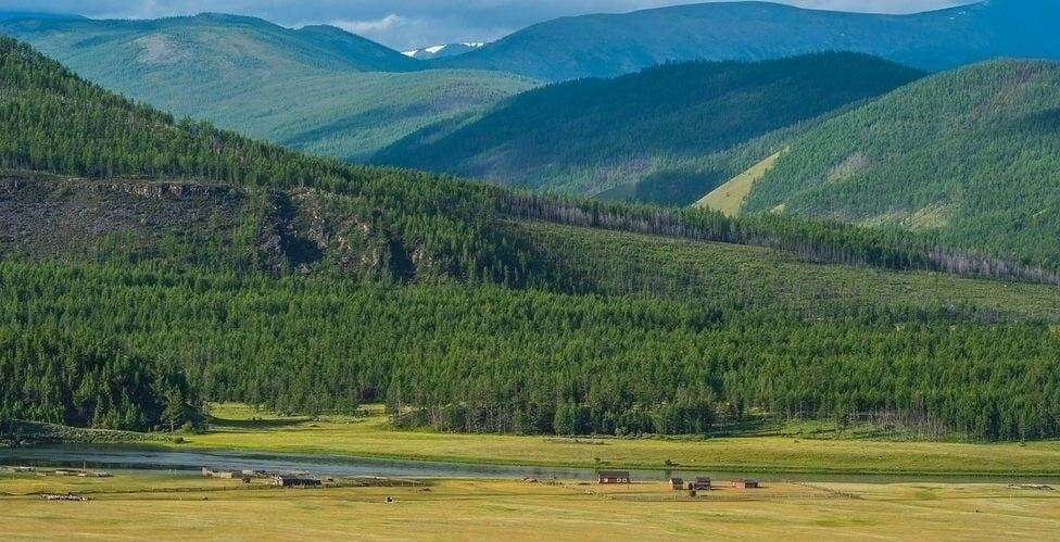 Untouched mountain landscape in Mongolia with dense forest, river, and remote valley