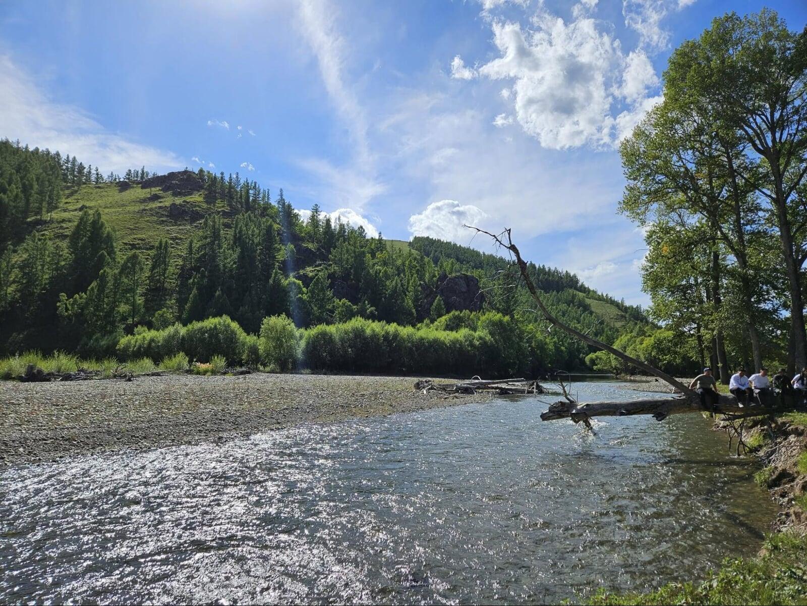 Sunny riverside landscape with green hills and forest in Mongolia under a clear blue sky.