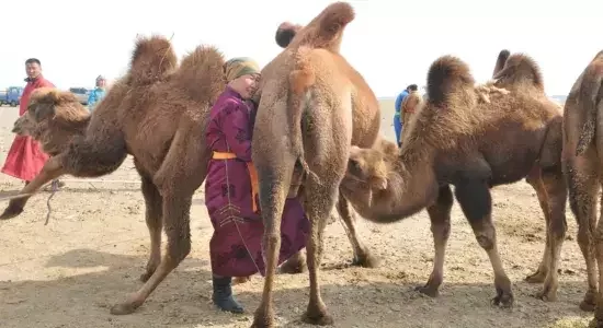 boat expedition across waters of Lake Khovsgol