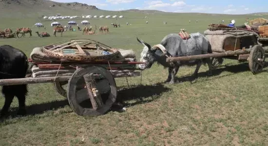 Horseback Riding Adventure – Darhad Valley