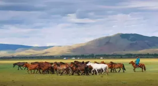 landscapes of the Darhad Valley